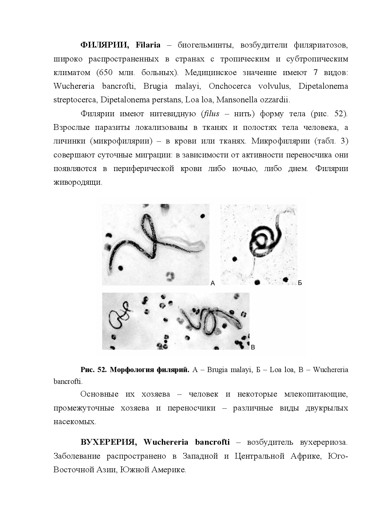 ФИЛЯРИИ (FILARIA)