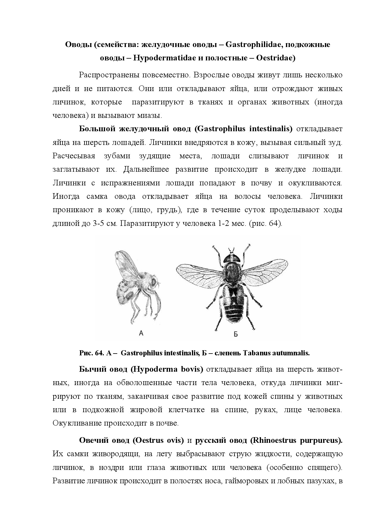ОВОДЫ (HYPODERMATIDA, GASTROPHILIDAE, OESTRIDAE)