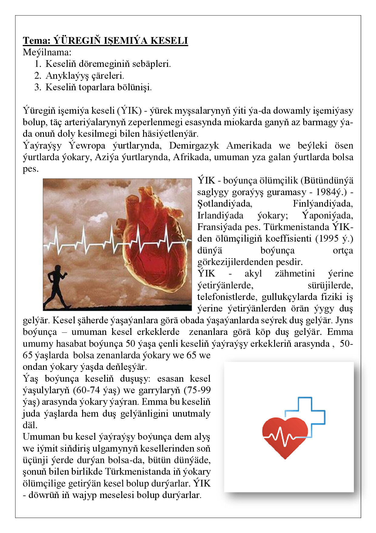 REFERAT IŞEMIÝA