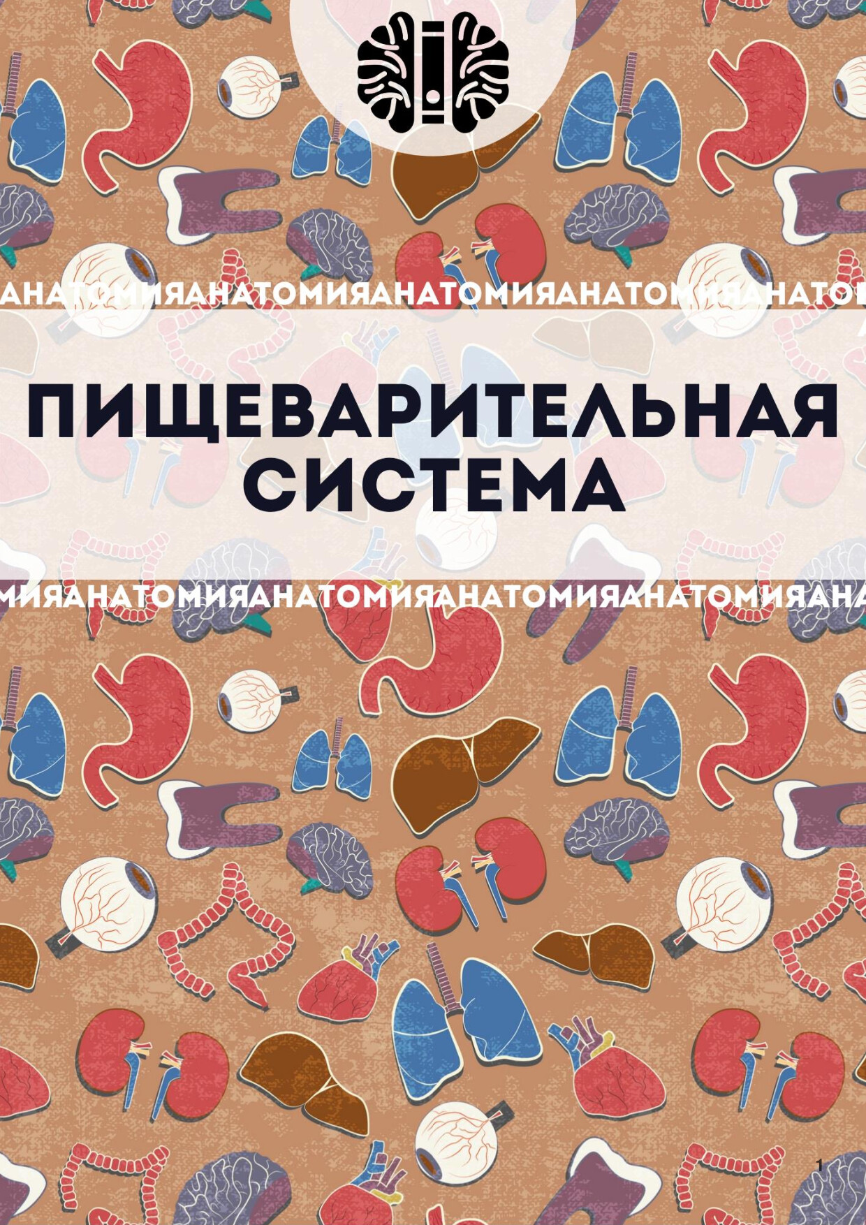 ПИЩЕВАРИТЕЛЬНАЯ СИСТЕМА