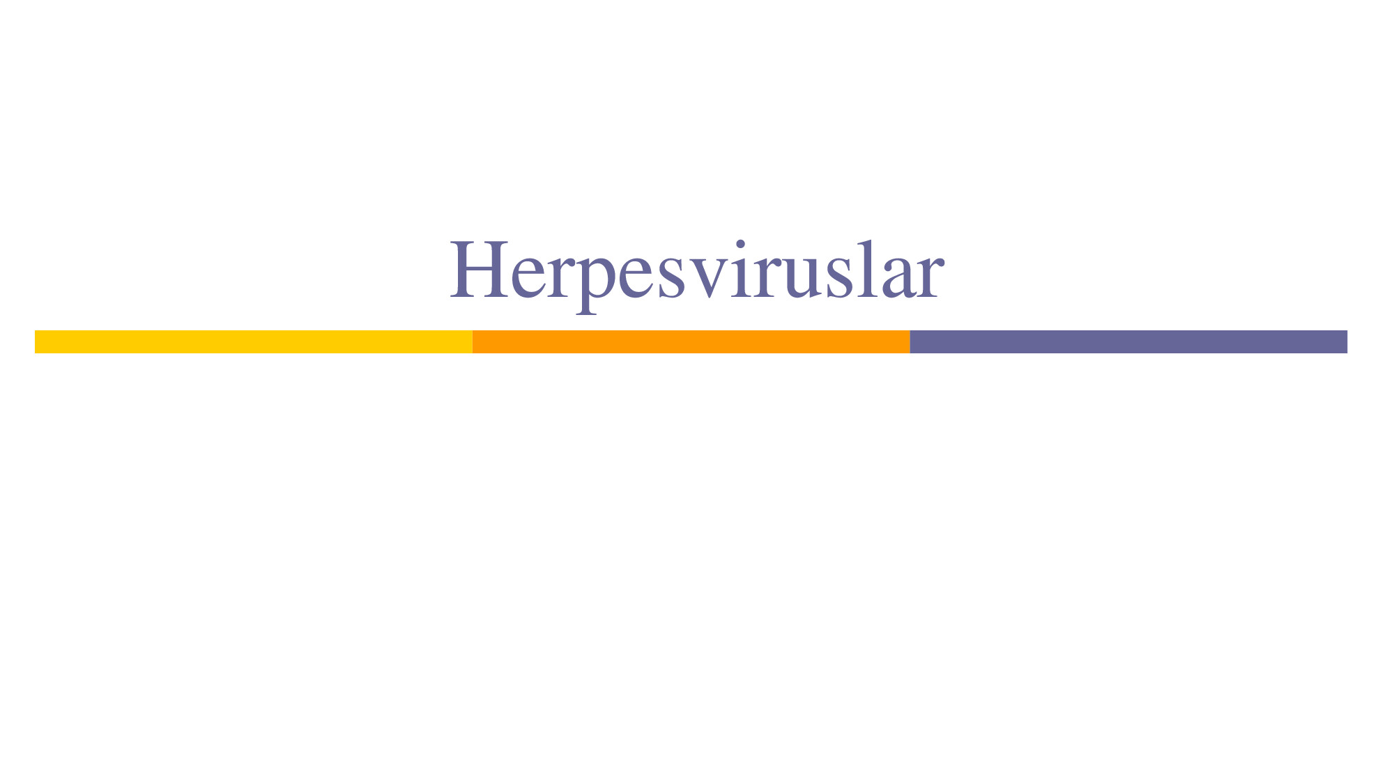 HERPES VIRUSLAR