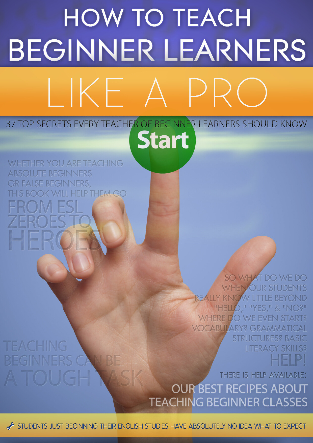 HOW TO TEACH BEGINNER LEARNERS LIKE A PRO
