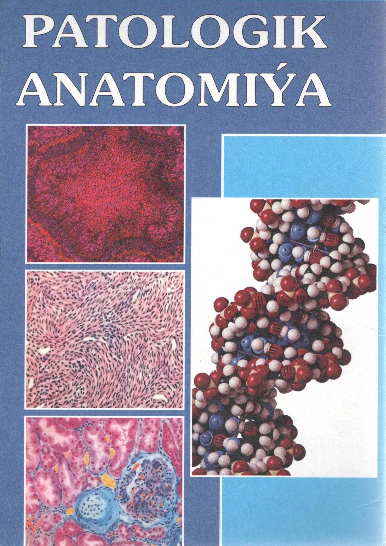 PATOLOGIKI ANATOMIYA   OKUW KITABY