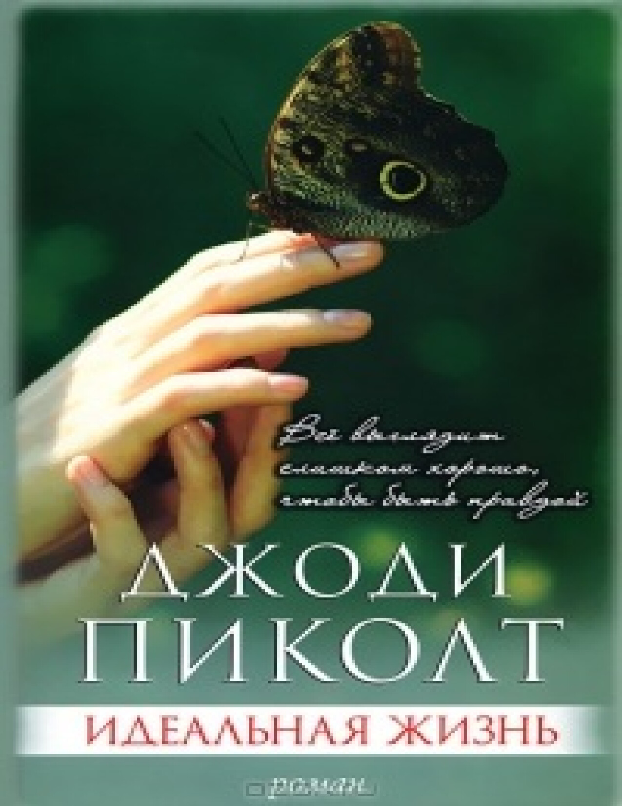 ИДЕАЛЬНАЯ ЖИЗНЬ