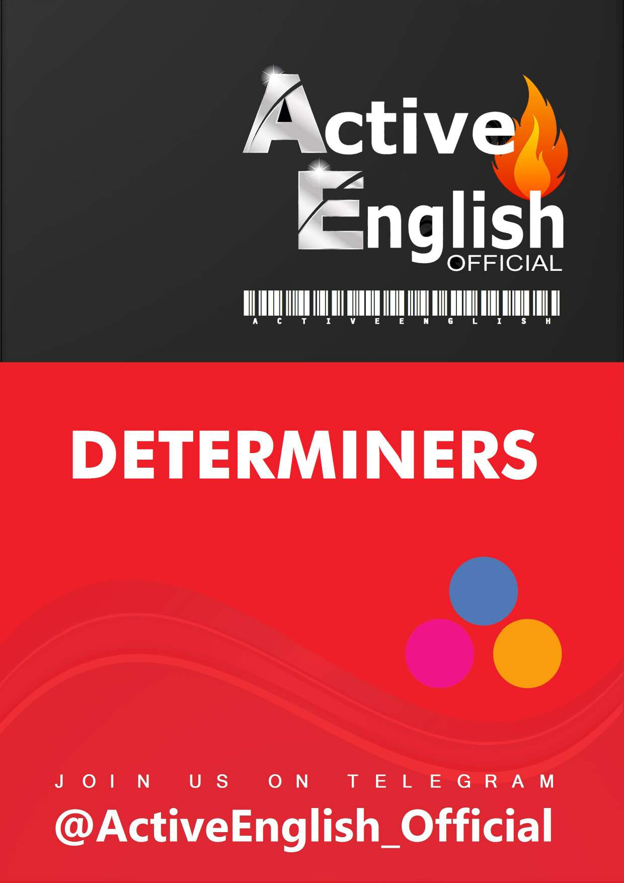 19. DETERMINERS