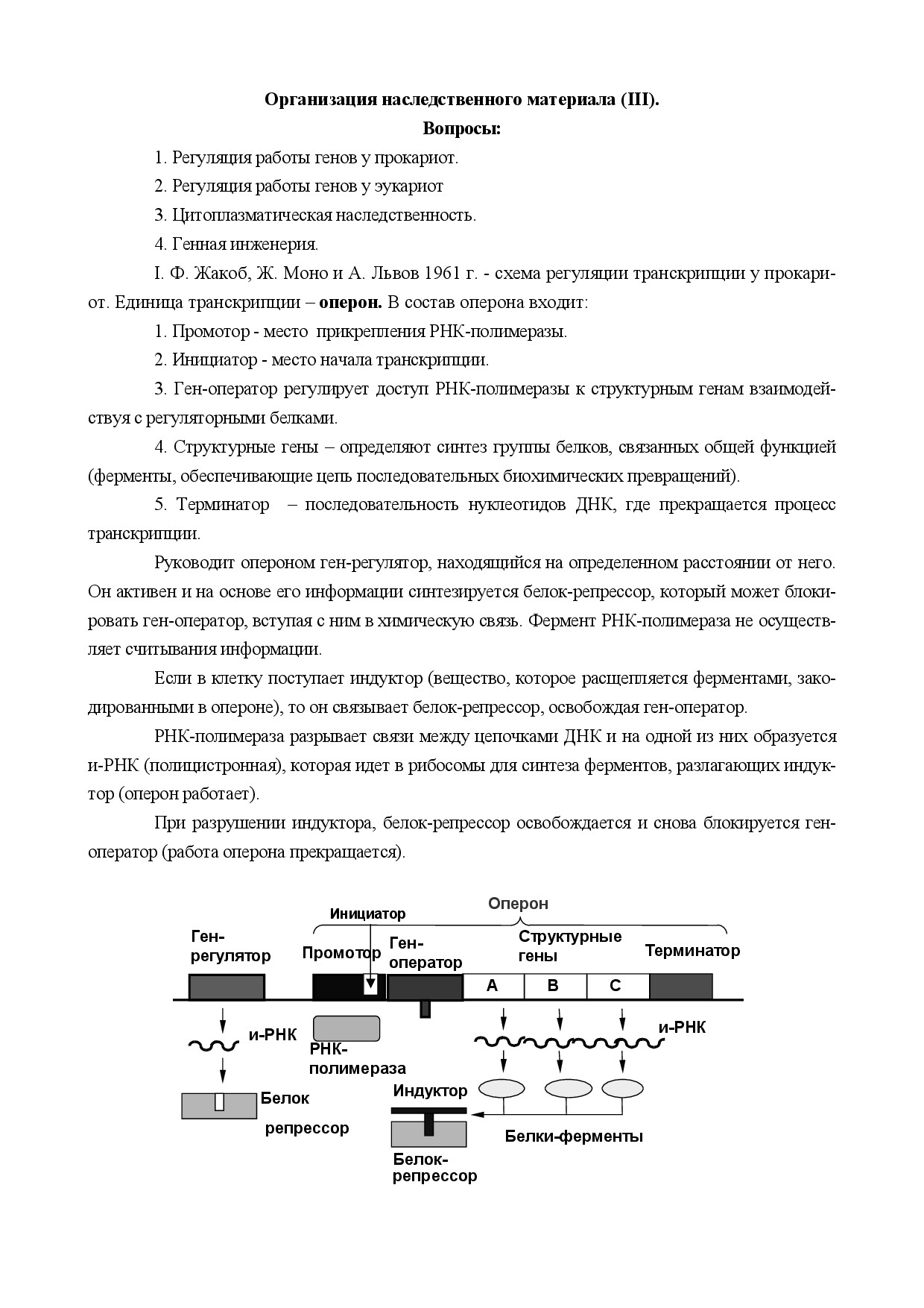 1.06.ОРГАНИЗАЦИЯ НАСЛЕДСТВЕННОГО МАТЕРИАЛА 3