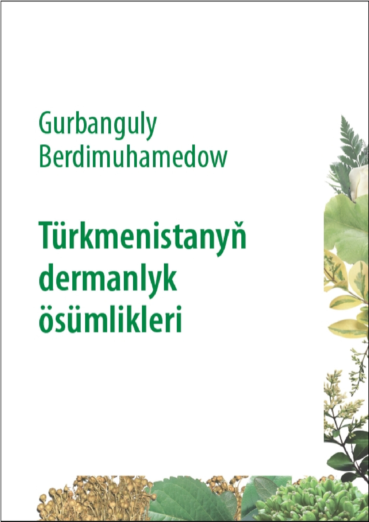 TÜRKMENISTANYN DERMANLYK ÖSÜMLIKLERI