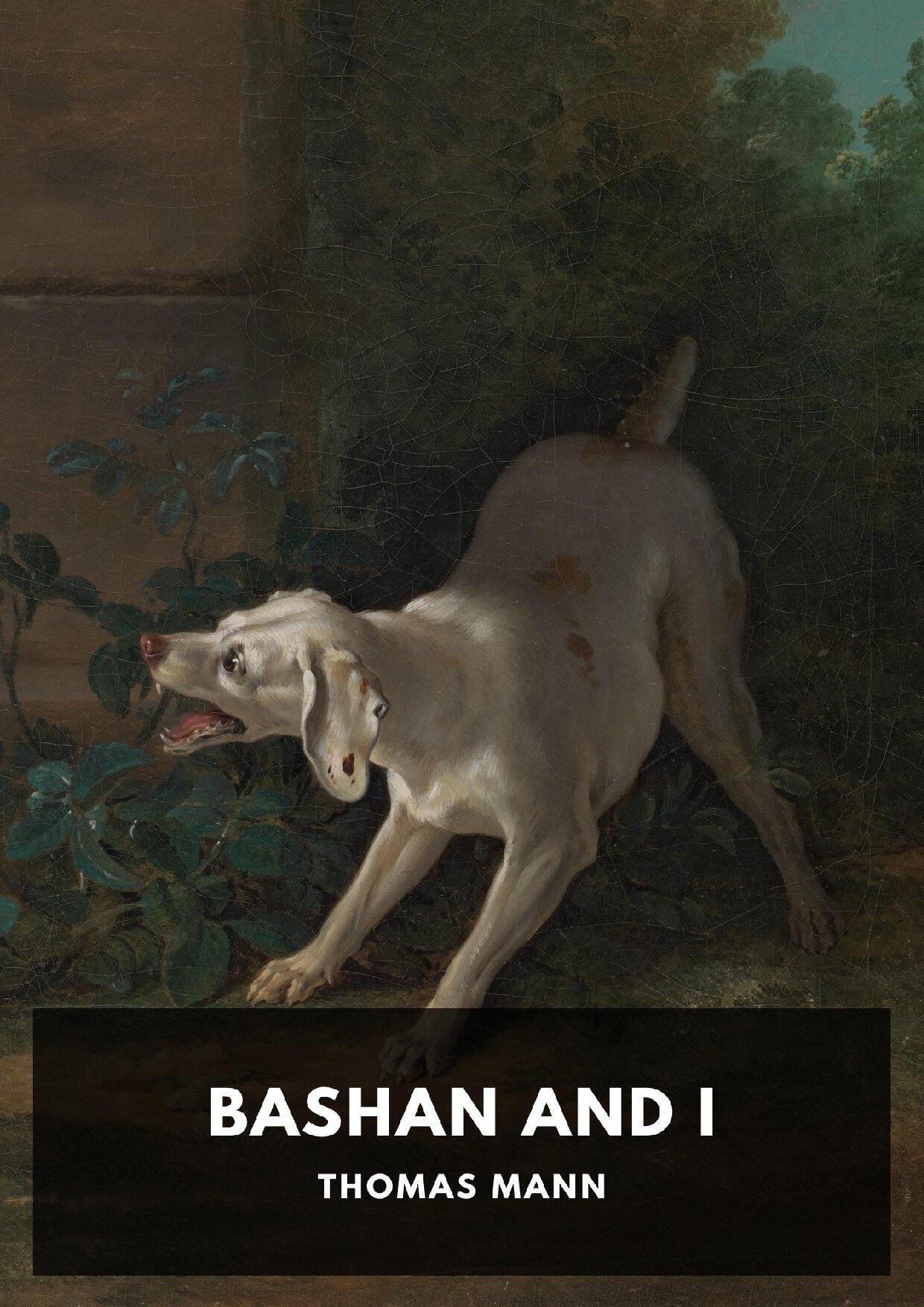 BASHAN AND I   THOMAS MANN