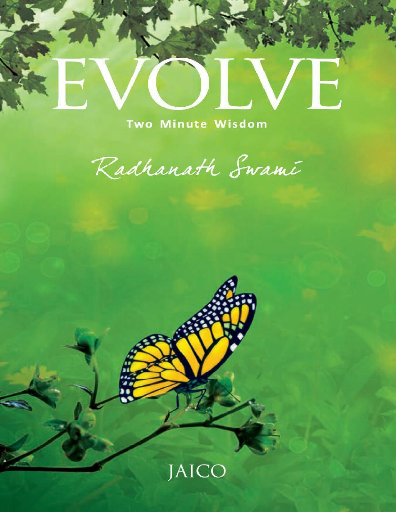 EVOLVE  TWO MINUTE WISDOM