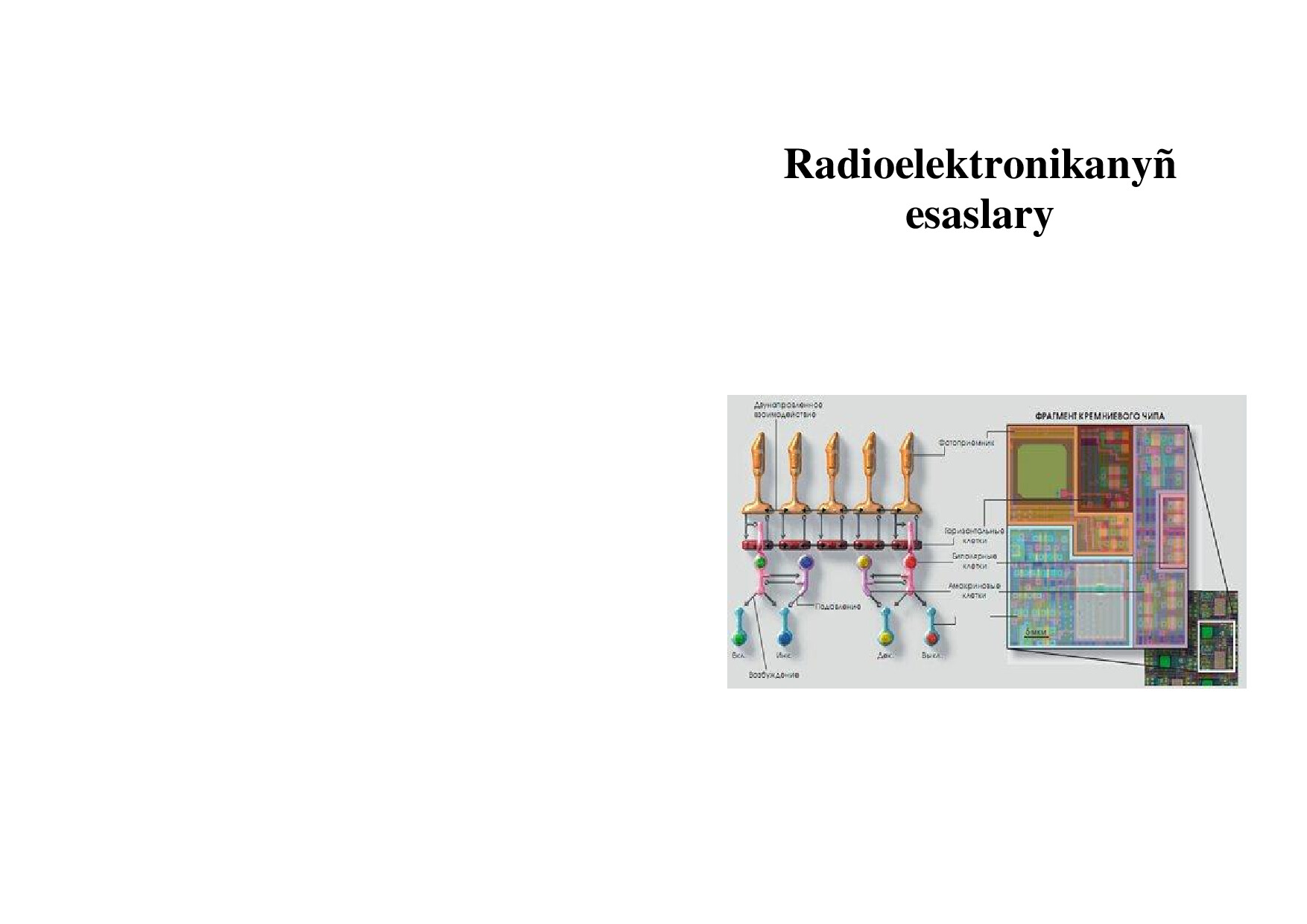 RADIOELEKTRONIKANYŇ ESASLARY