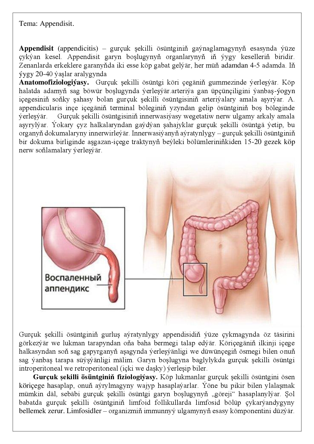 REFERAT APPENDISIT