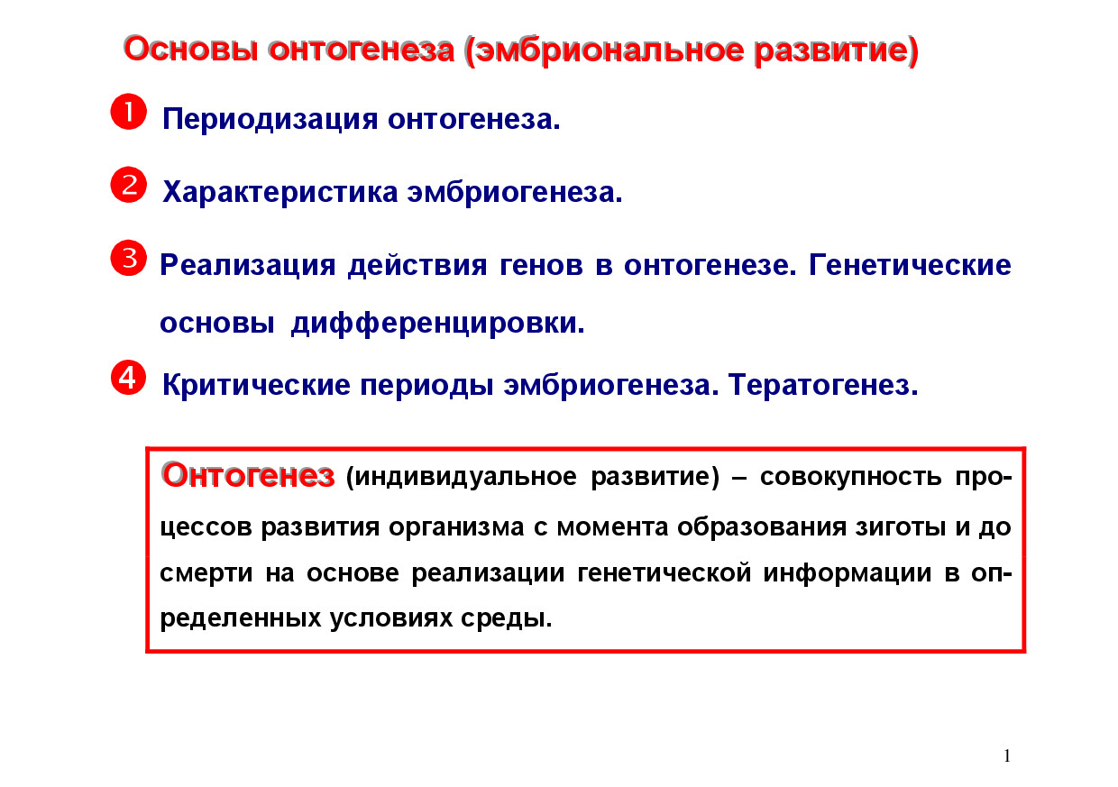 1.14.ОСНОВЫ ОНТОГЕНЕЗА (ЭМБРИОНАЛЬНОЕ РАЗВИТИЕ)