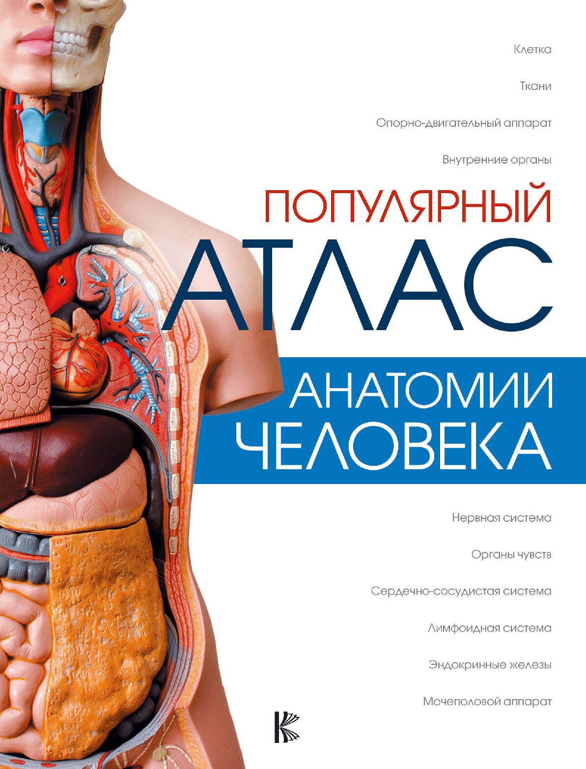 ПОПУЛЯРНЫЙ АТЛАС АНАТОМИИ ЧЕЛОВЕКА