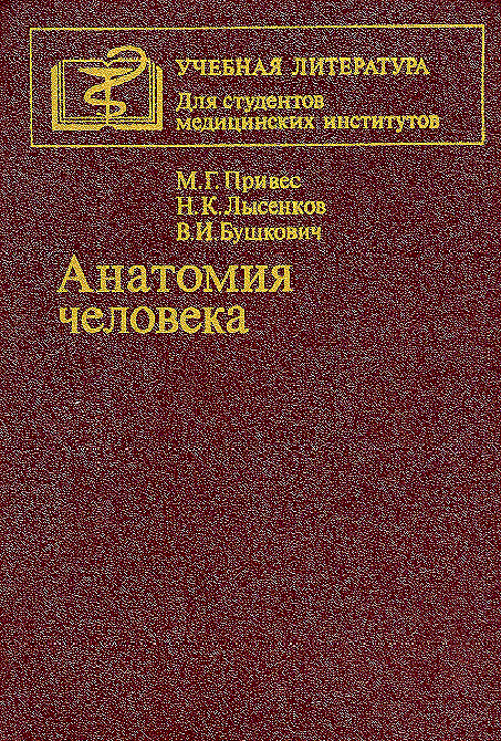 АНАТОМИЯ ЧЕЛОВЕКА. ПРИВЕС М.Г