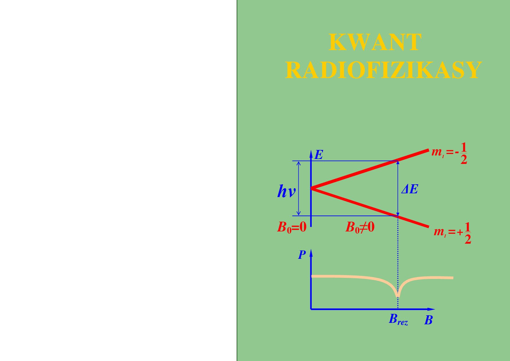 KWANT RADIOFIZIKASY