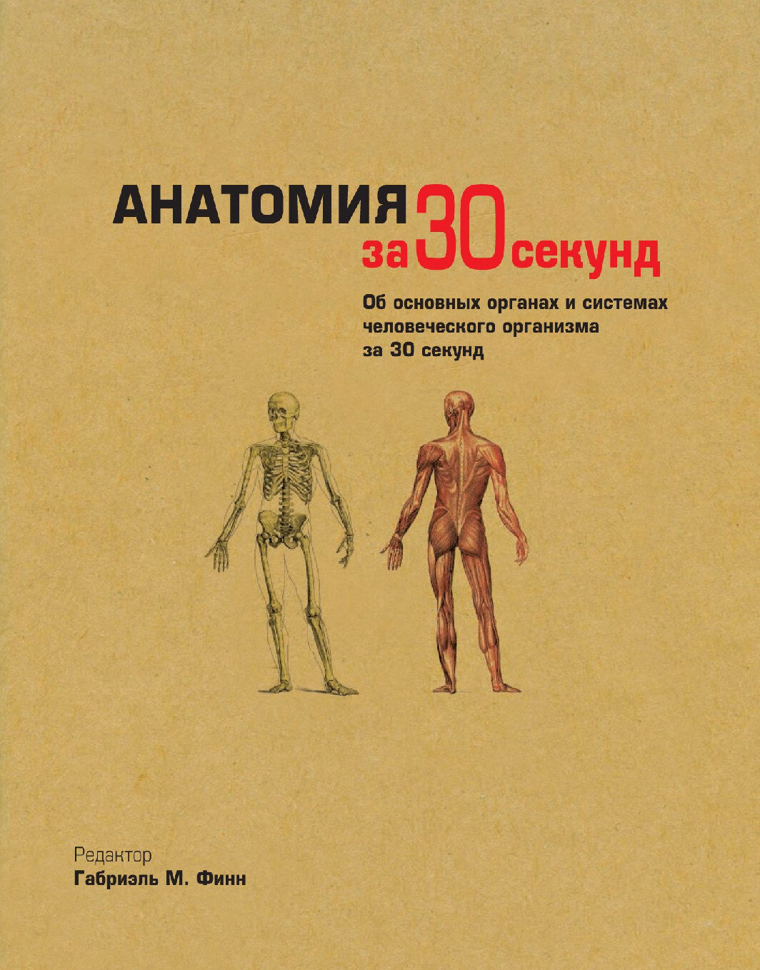 ZA 30 SEKUND ANATOMIYA