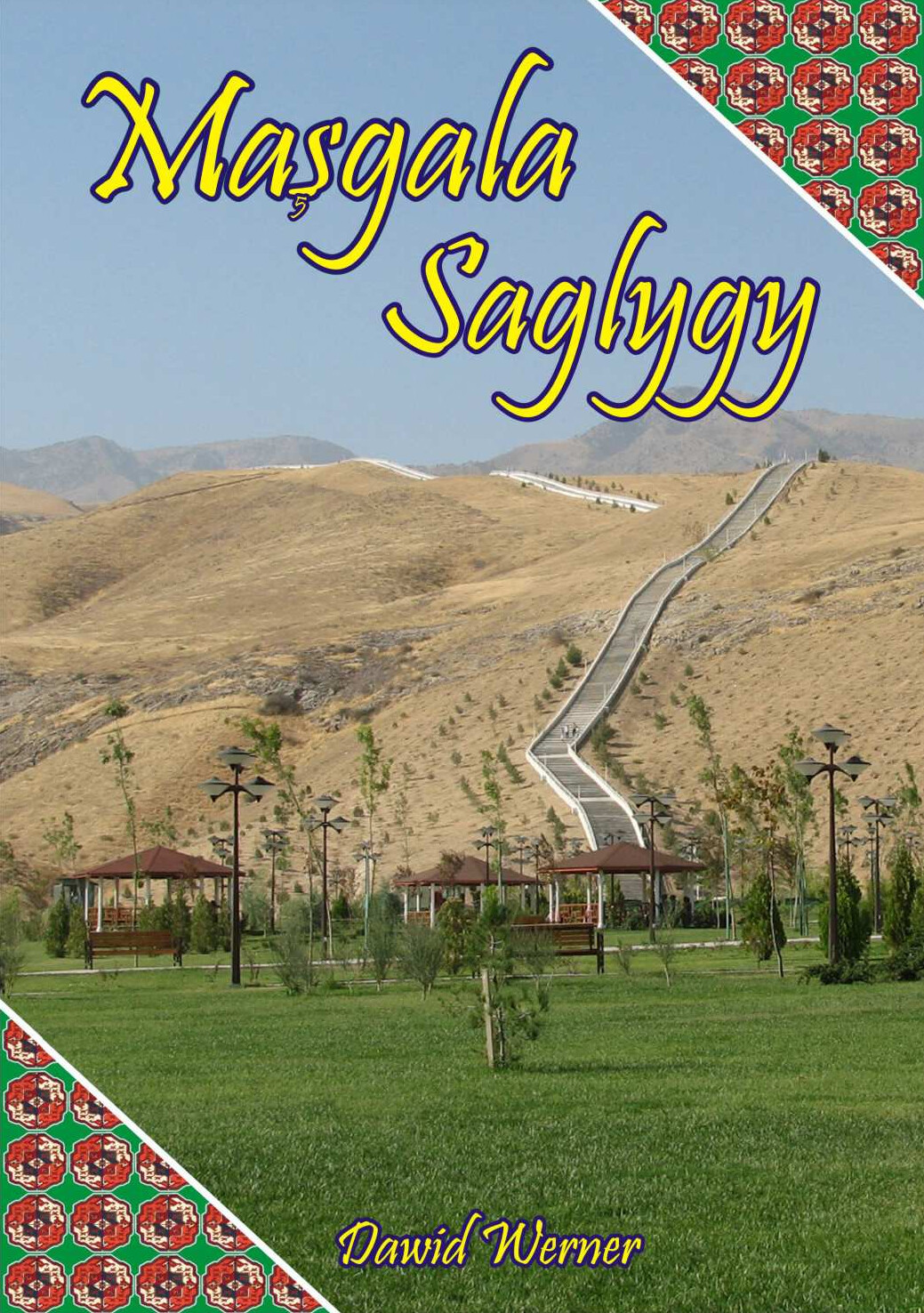 DAWID WERNER MAŞGALA SAGLYGY