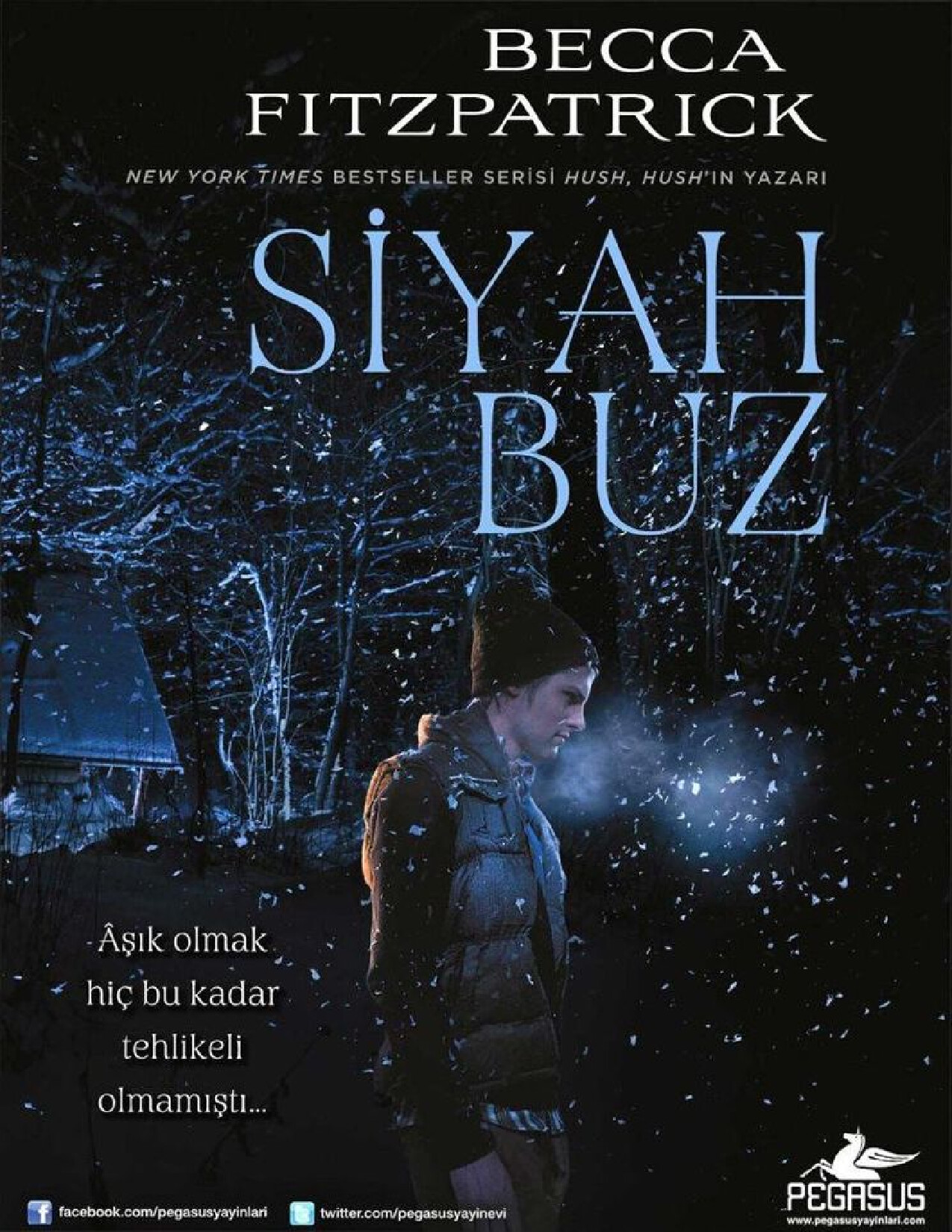 SIYAH BUZ