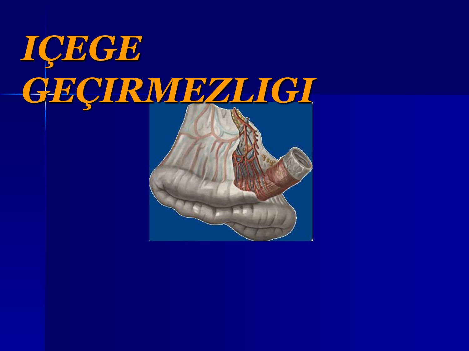 ÝITI IÇEGE GEÇIRMEZLIGI