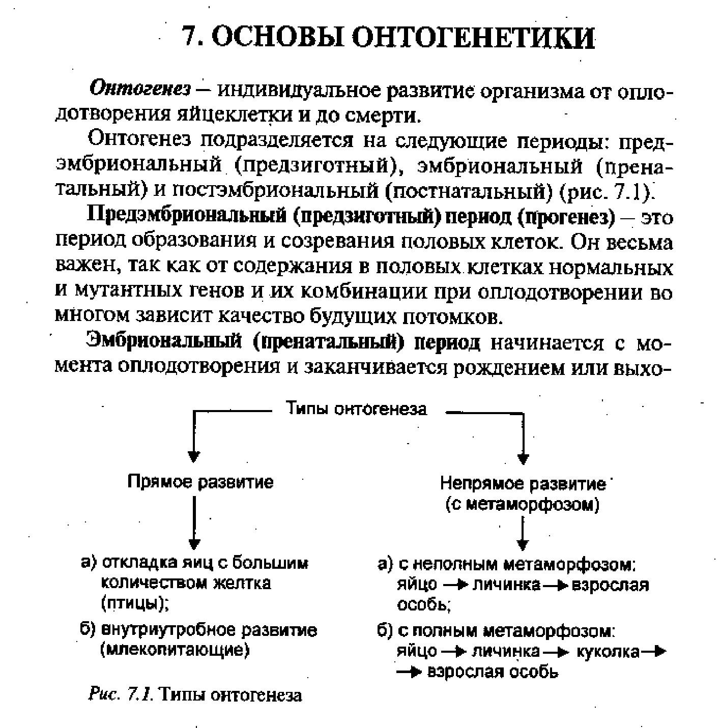 09.ОНТОГЕНЕТИКА