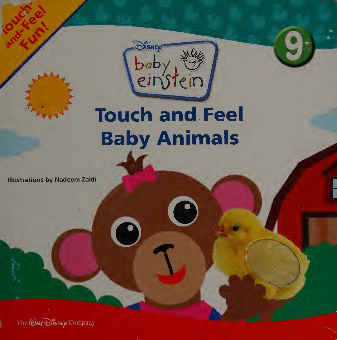 BABY EINSTEIN  TOUCH AND FEEL BABY ANIMALS (A TOUCH AND FEEL)