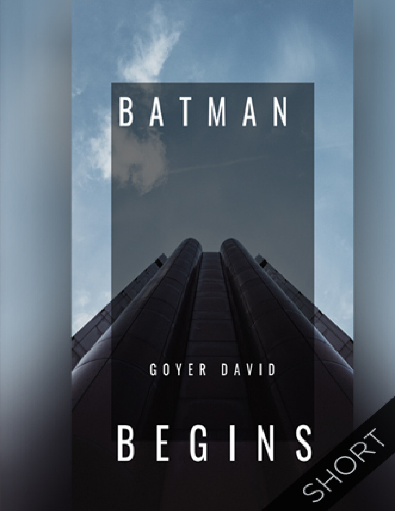 BATMAN BEGINS GOYER S. DAVID