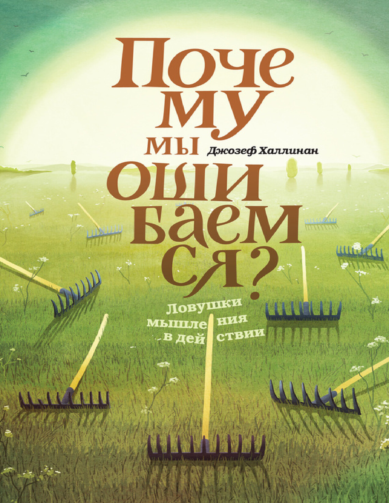 ХАЛЛИНАН Д. «ПОЧЕМУ МЫ ОШИБАЕМСЯ»