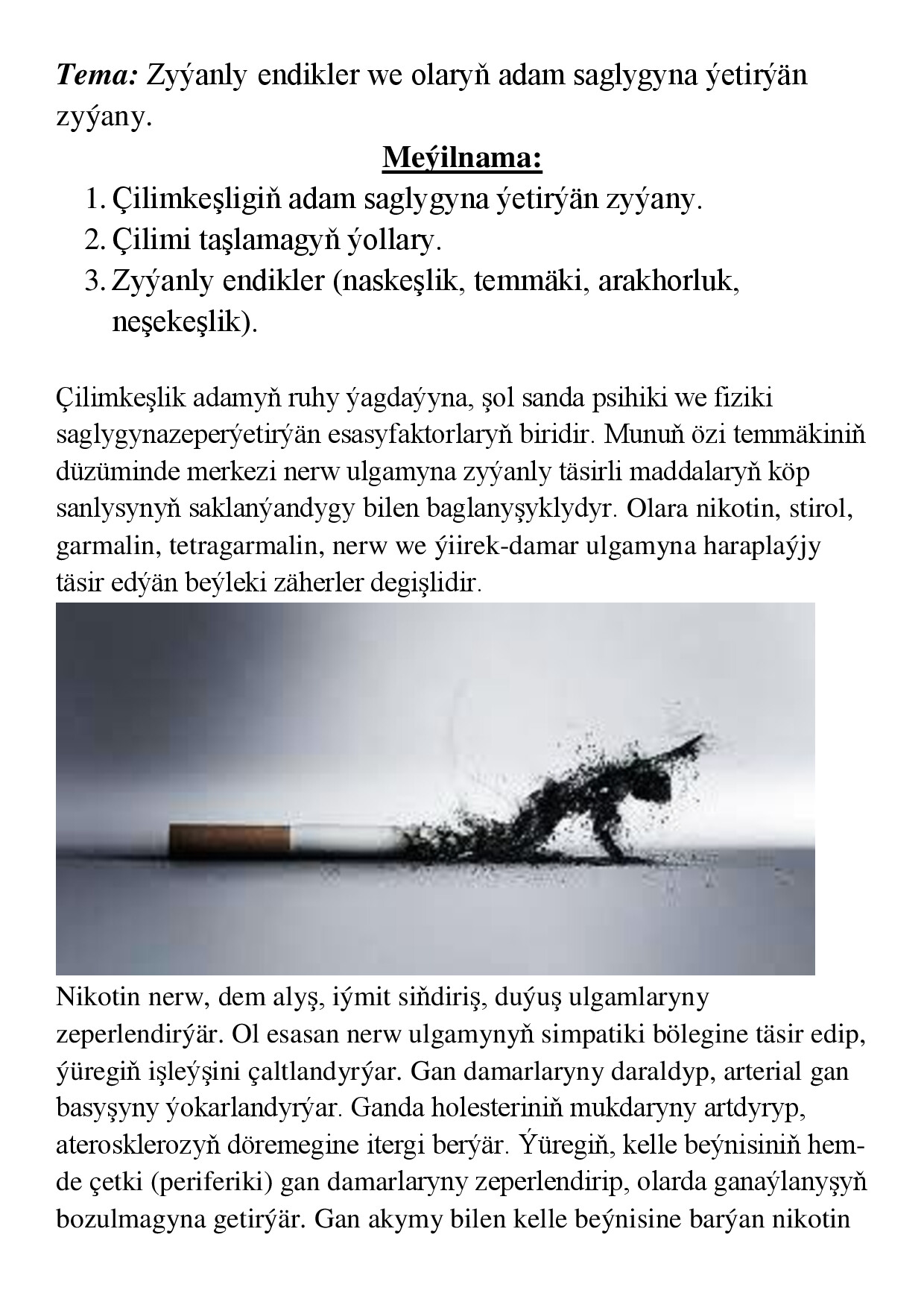 REFERAT ZYÝANLY ENDIKLER