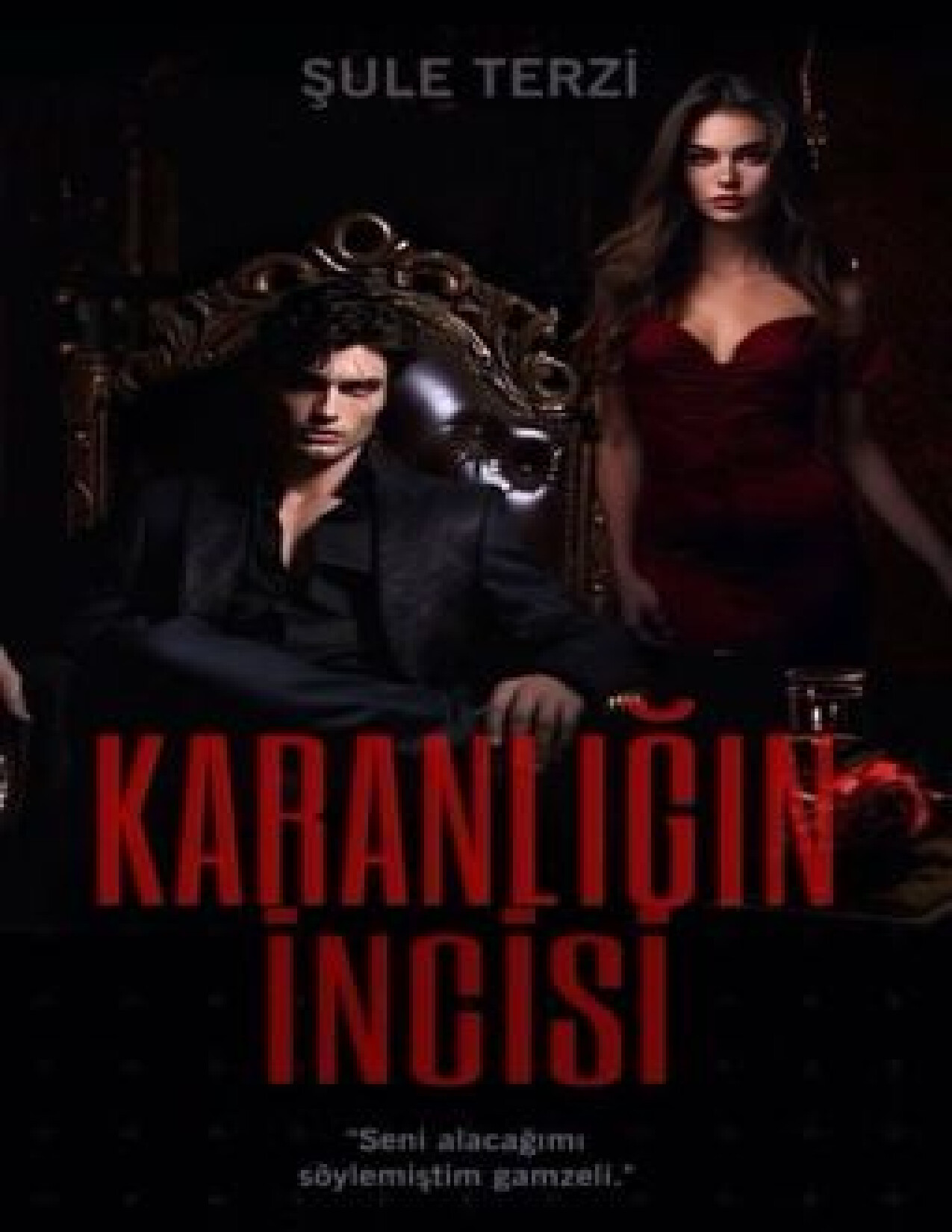 KARANLIĞIN İNCISI   ŞULE TERZI