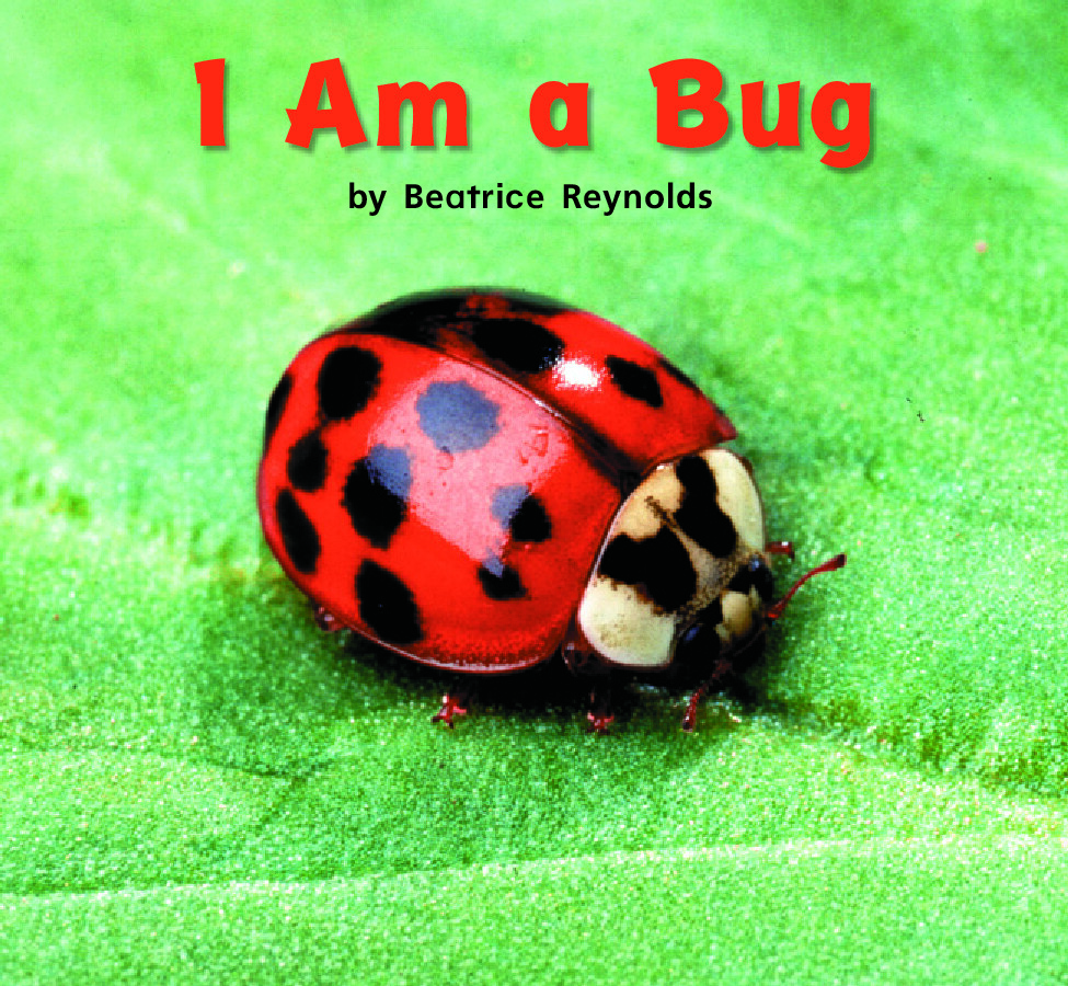 I AM A BUG