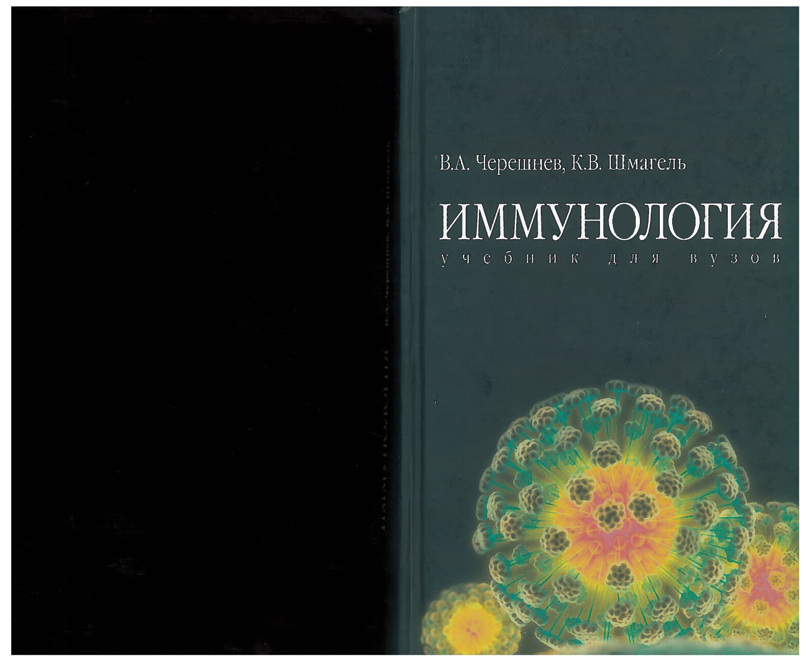 В.А.ЧЕРЕШНЕВ   ИММУНОЛОГИЯ