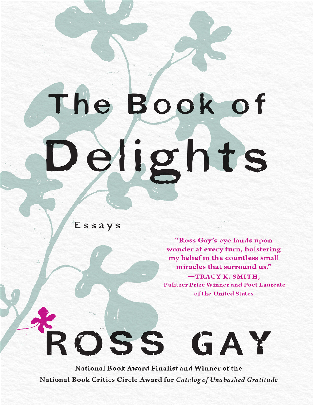 THE BOOK OF DELIGHTS   ROSS GAY