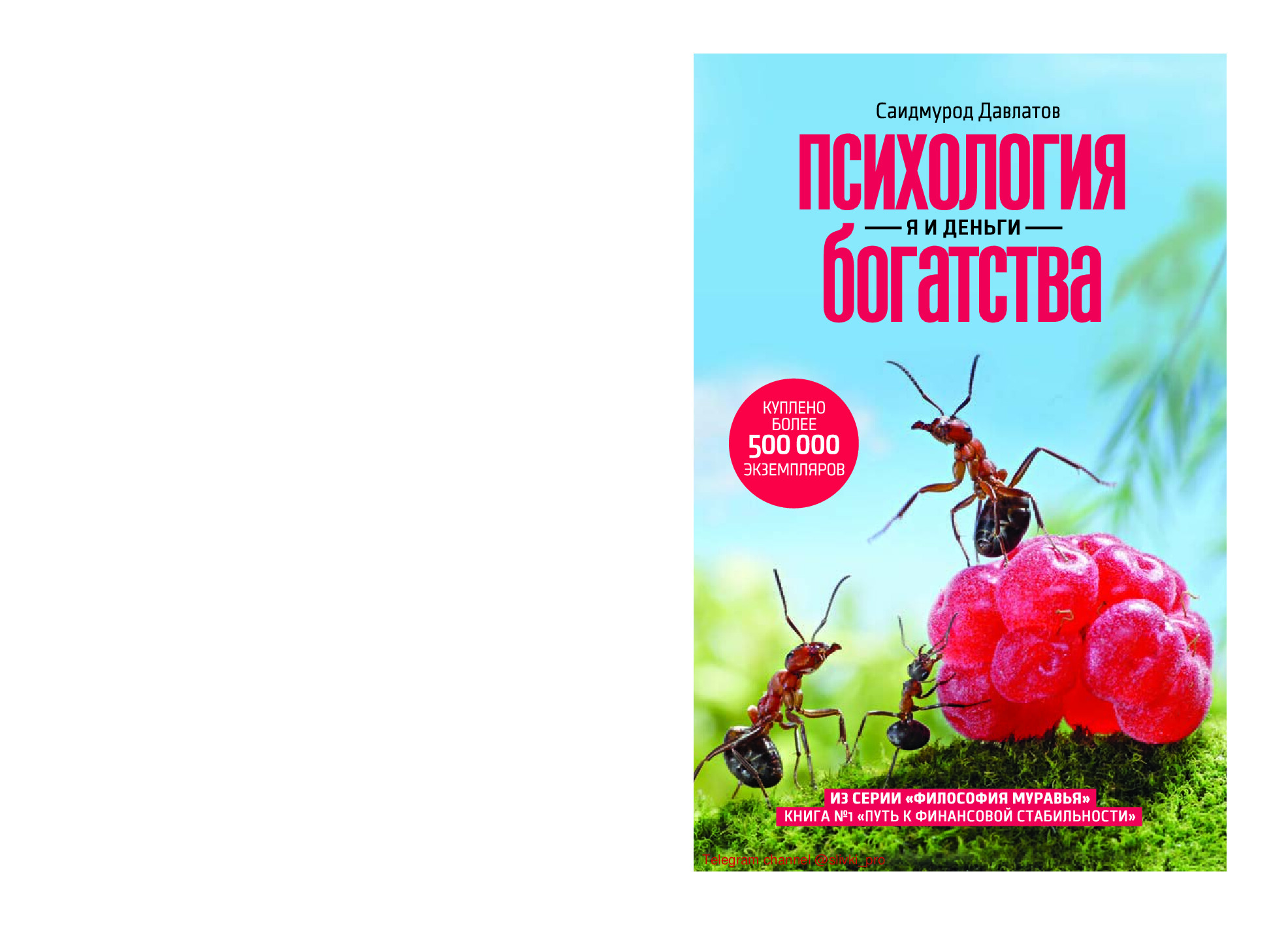 ПСИХОЛОГИЯ БОГАТСТВА Я И ДЕНЬГИ