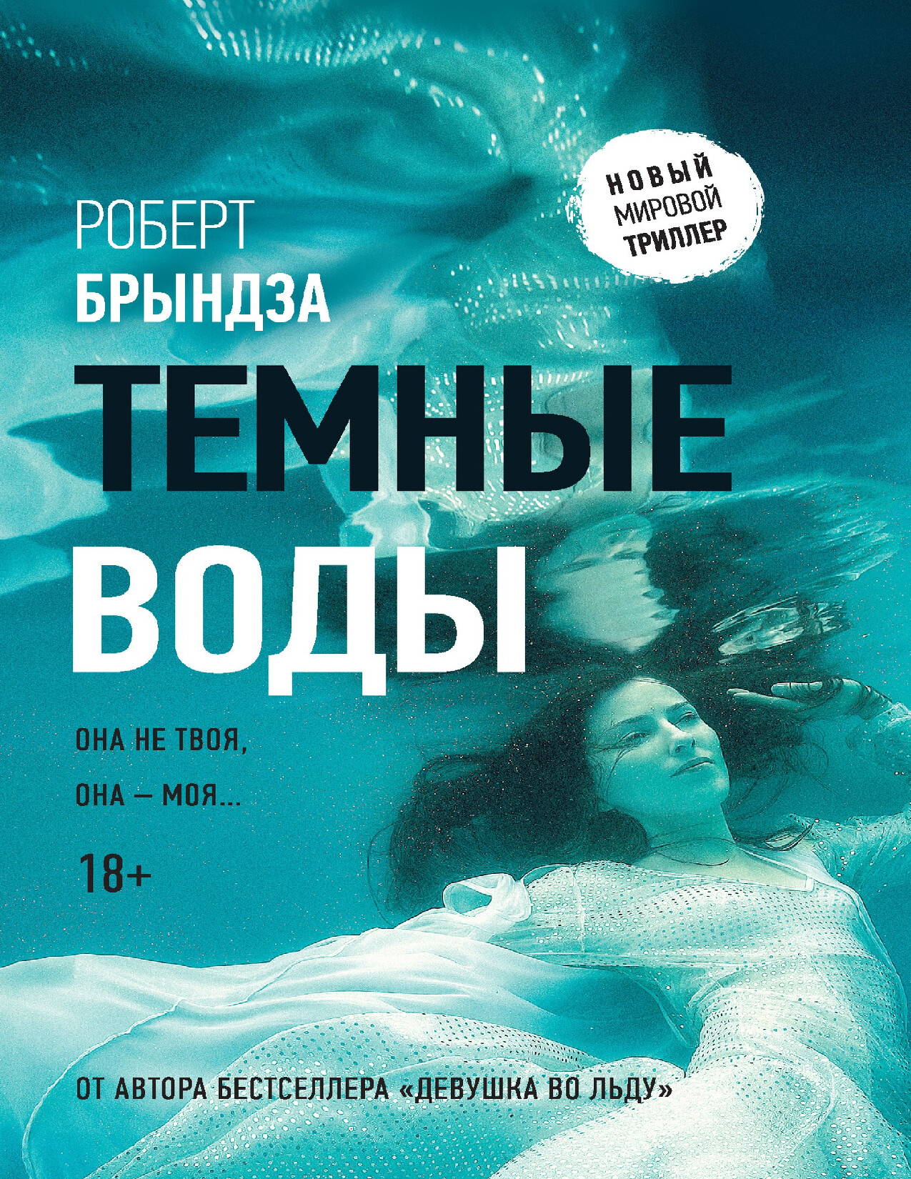 TEMNYE VODY PDF