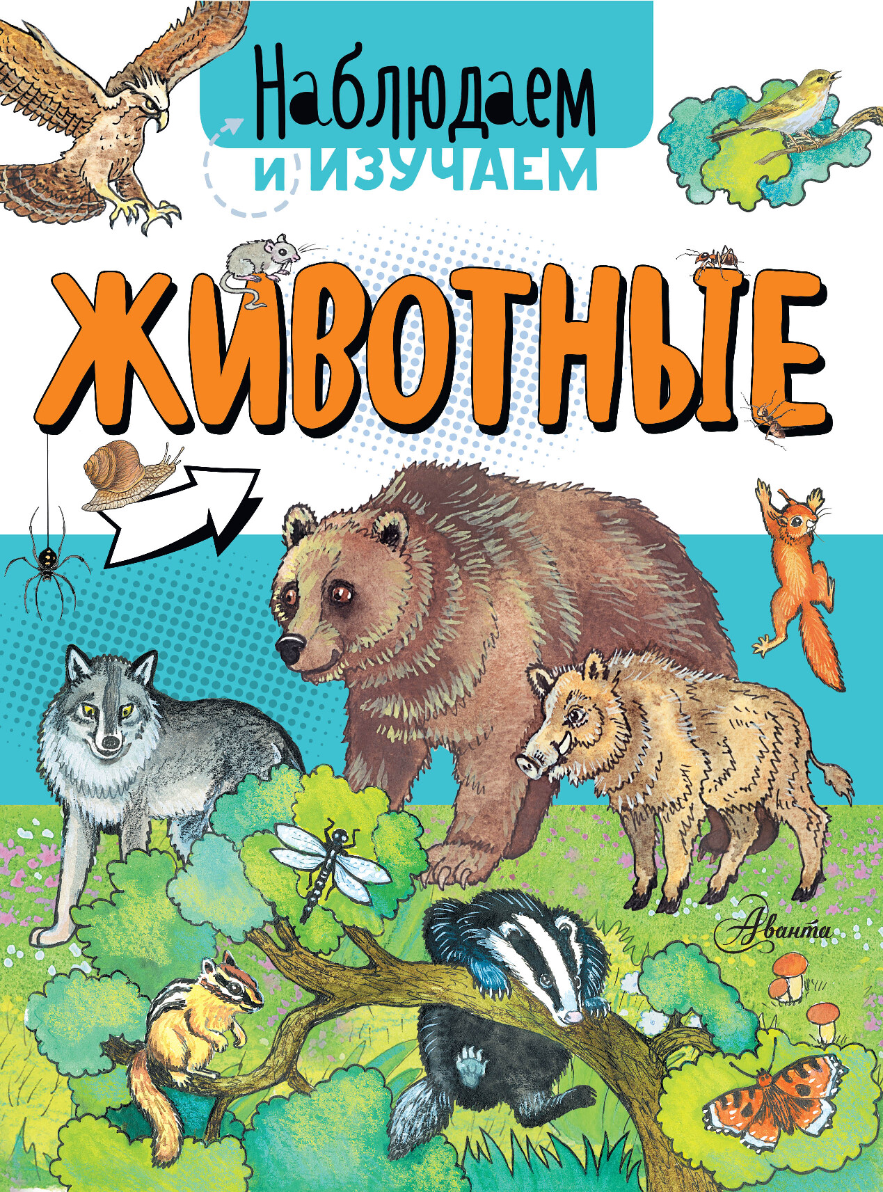 ЖИВОТНЫЕ