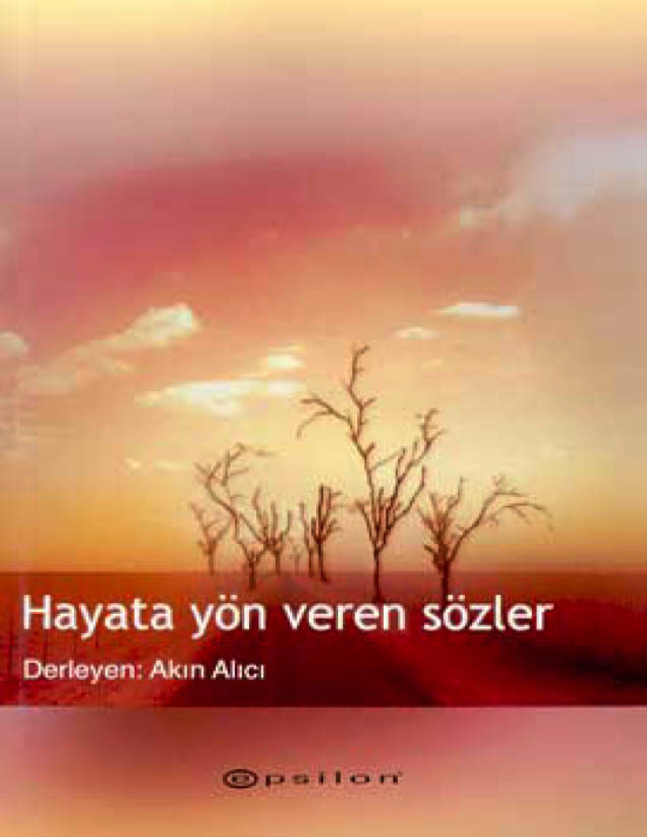 HAYATA YÖN VEREN SÖZLER   AKIN ALICI