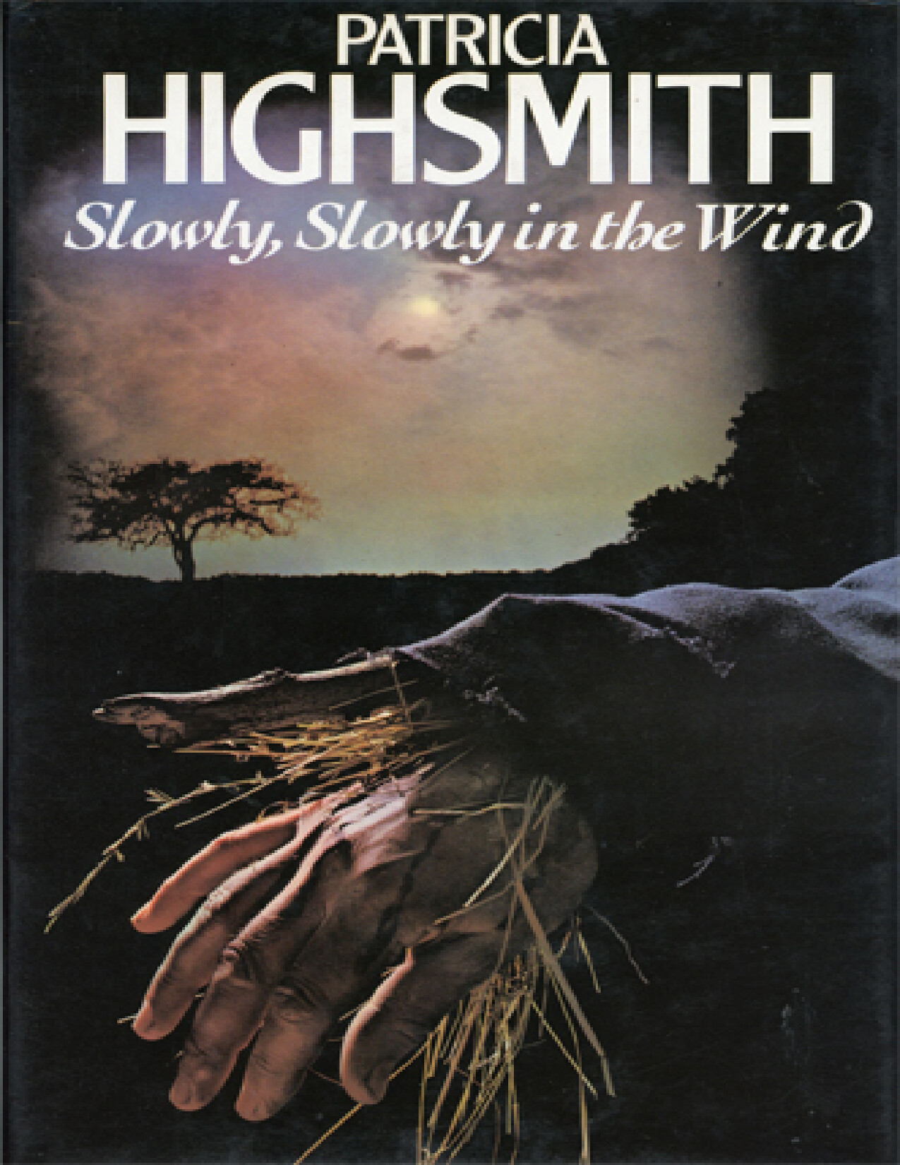 SLOWLY SLOWLY IN THE WIND PATRICIA HIGHSMITH