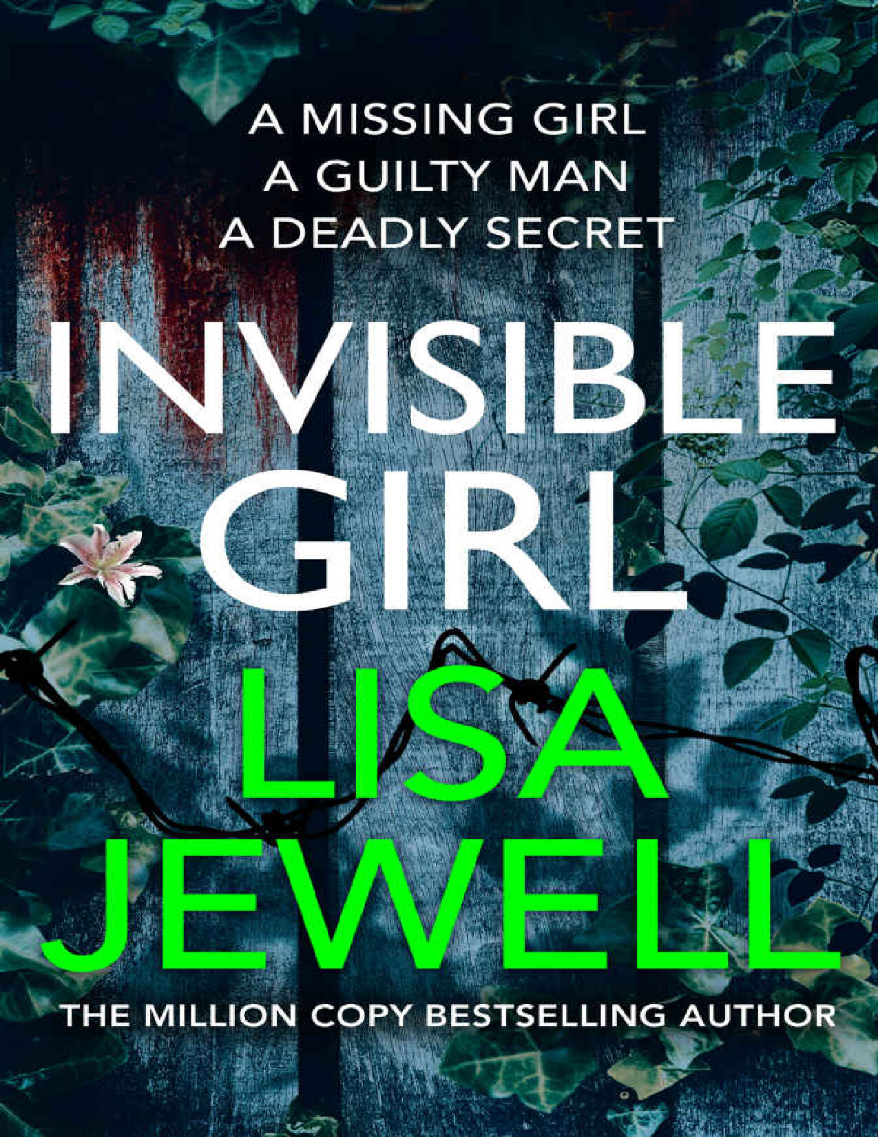 INVISIBLE GIRL (LISA JEWELL)