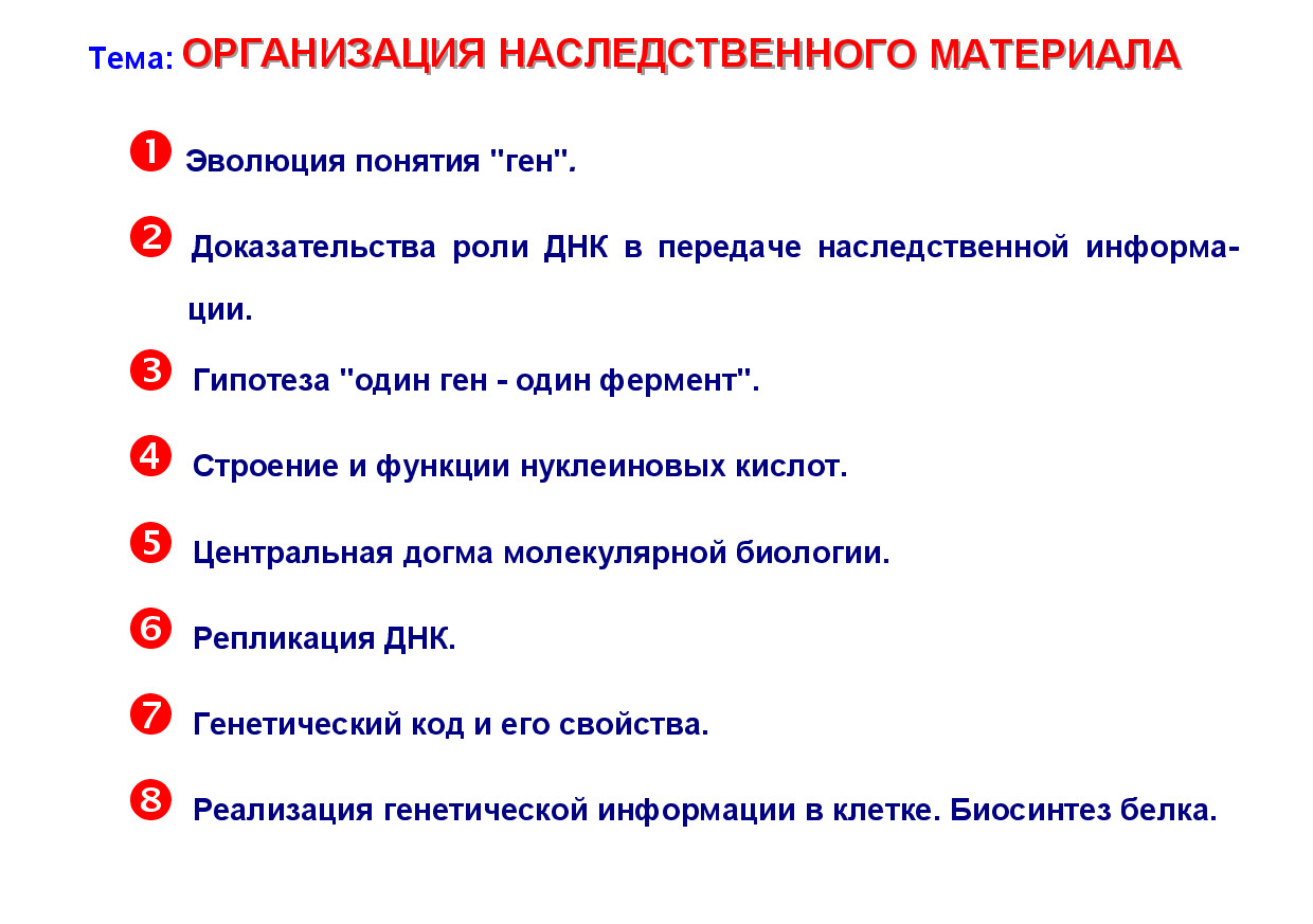 ЛЕКЦИЯ 4