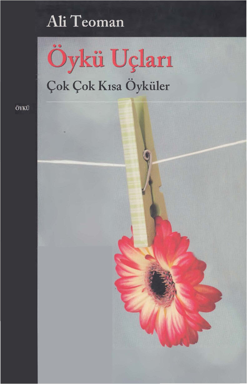 ALI TEOMAN ÖYKÜ UÇLARI
