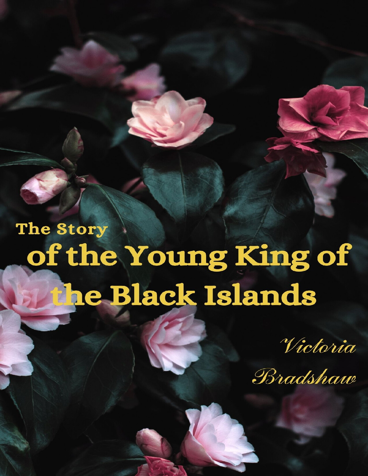 THE STORY OF THE YOUNG KING OF VICTORIA BRADSHAW