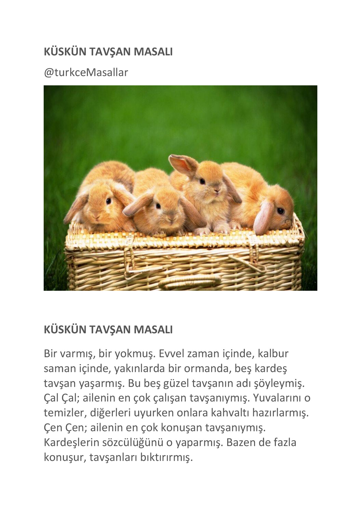 KÜSKÜN TAVŞAN MASALI
