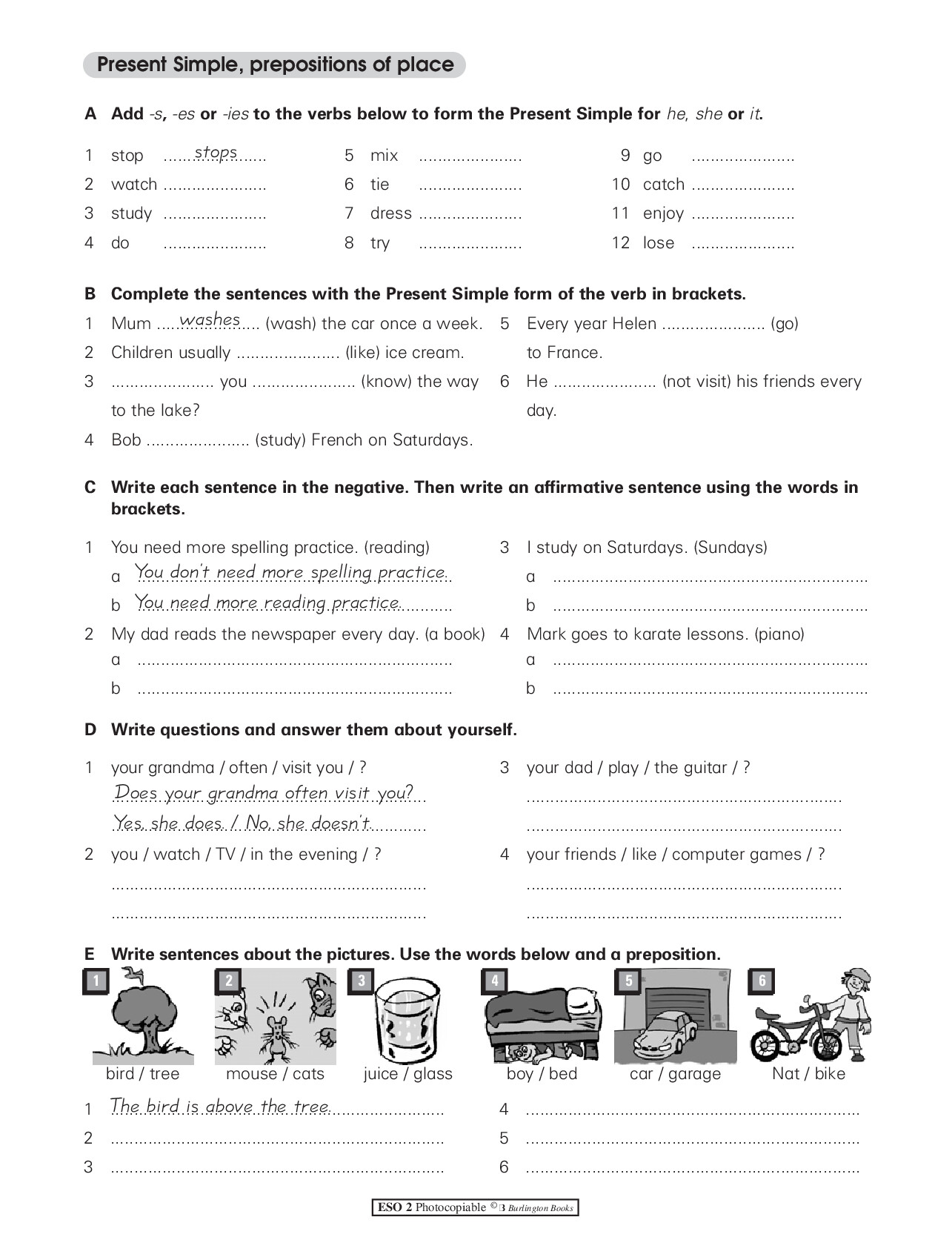 GRAMMAR2 PRESENTSIMPLE 2624