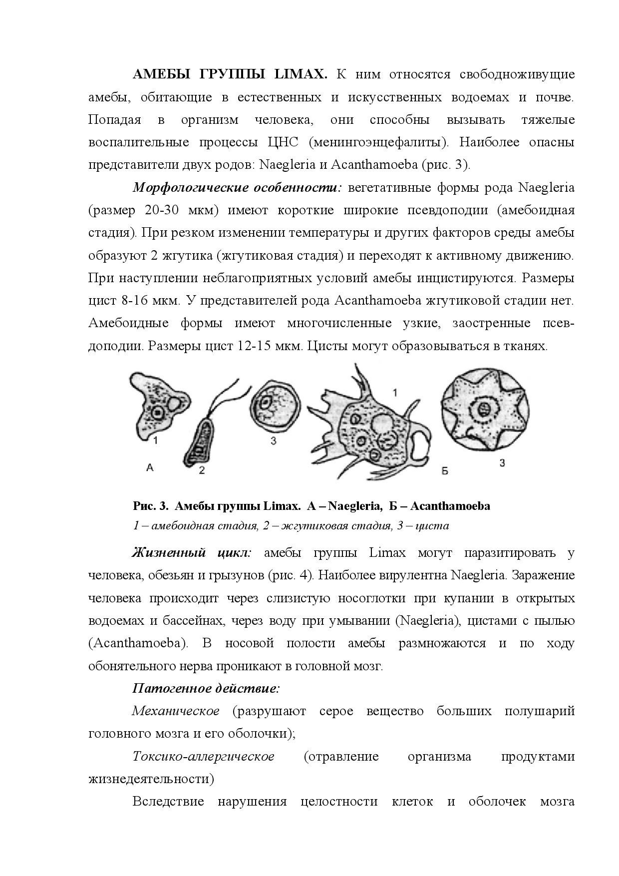 АМЁБЫ ГРУППЫ LIMAX (AMOEBAE LIMAX)