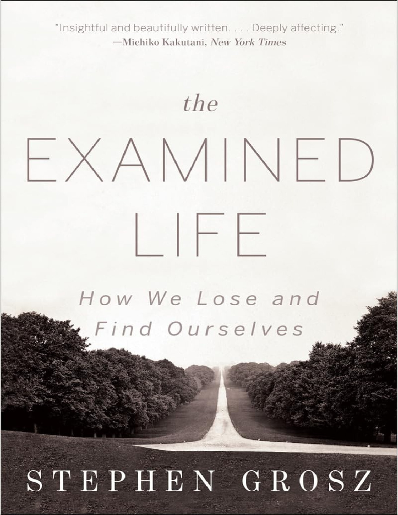 THE EXAMINED LIFE   STEPHEN GROSZ