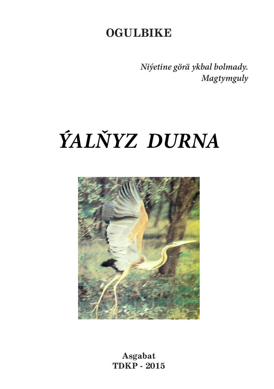 ÝALŇYZ DURNA