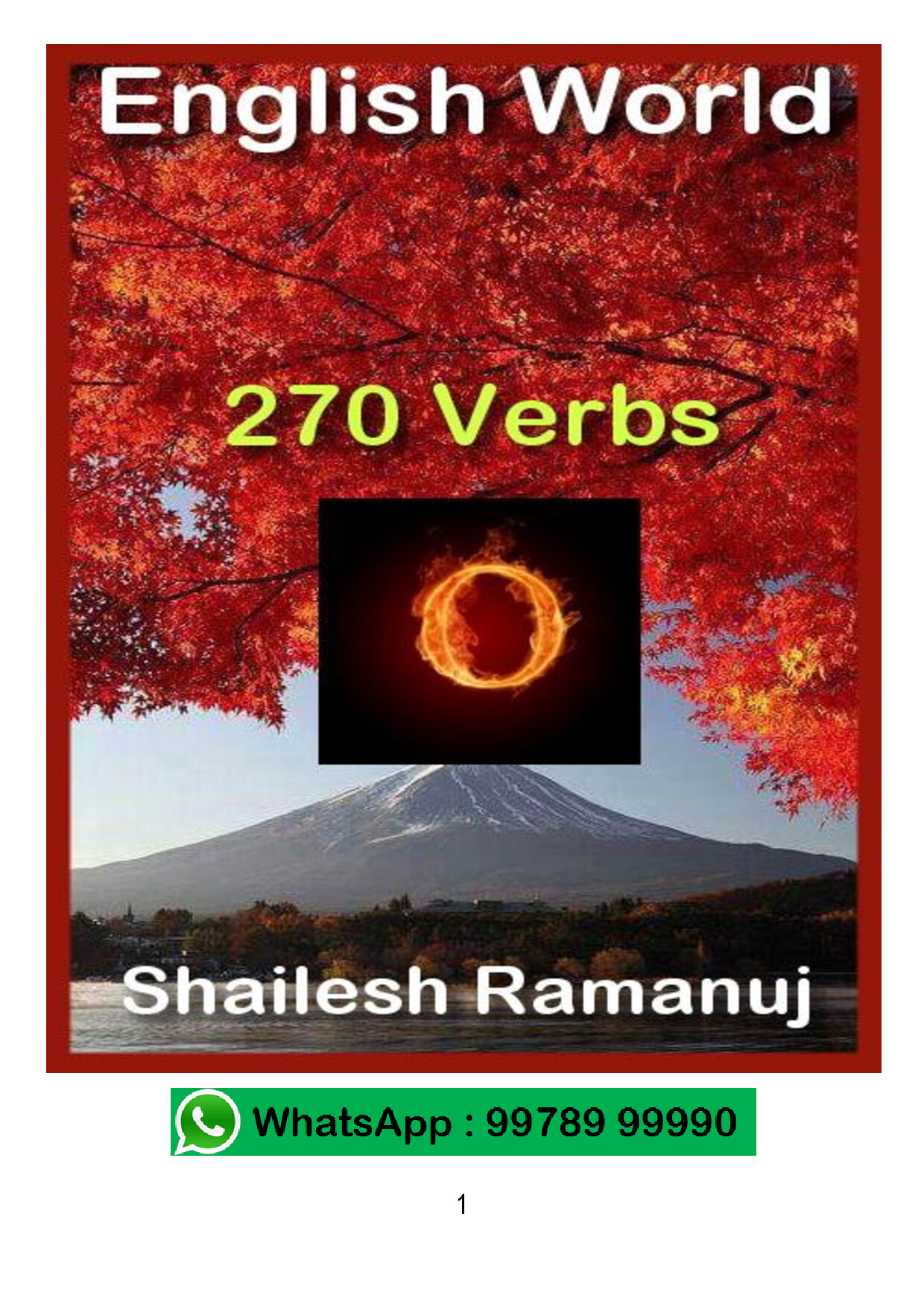 270 VERBS  O