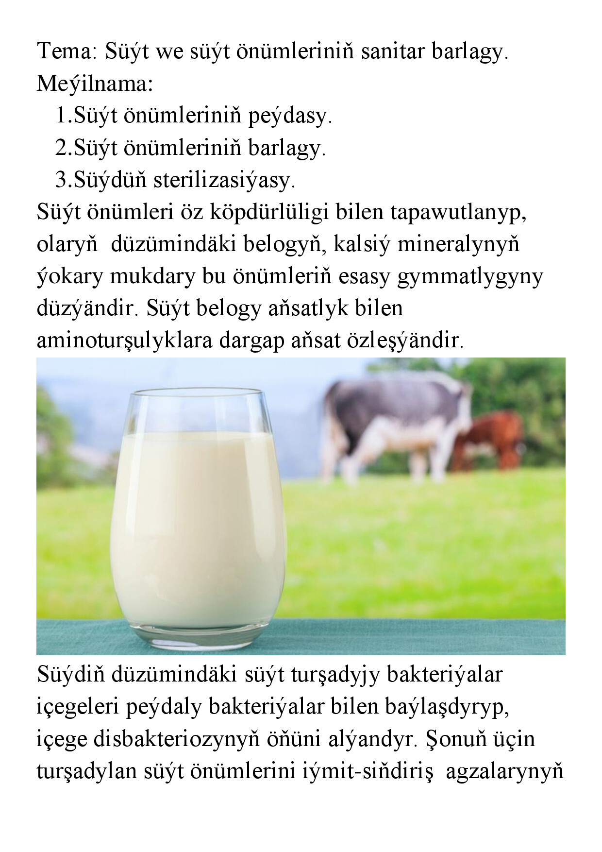 REFERAT SÜÝT