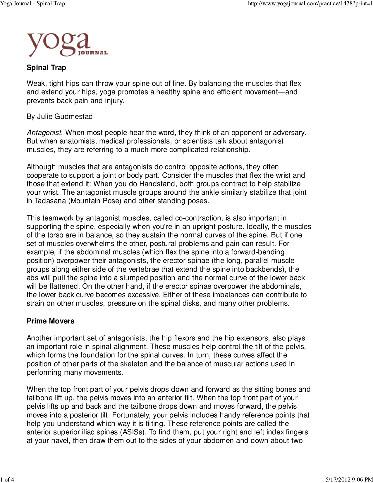 YOGA JOURNAL   SPINAL TRAP (1) (1)