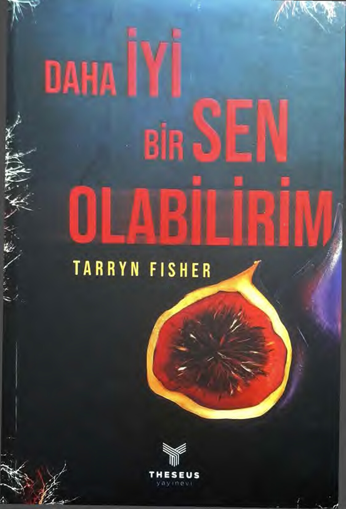 DAHA IYI BIR SEN OLABILIRIM TARRYN FISHER